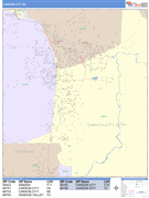 Carson City Digital Map Color Cast Style